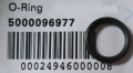 0096977.jpg