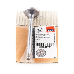 HATZ 1D81 1D90 zawór wydechowy 04091101