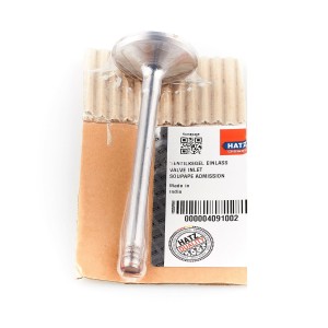 HATZ 1D81 1D90 zawór ssący 04091002